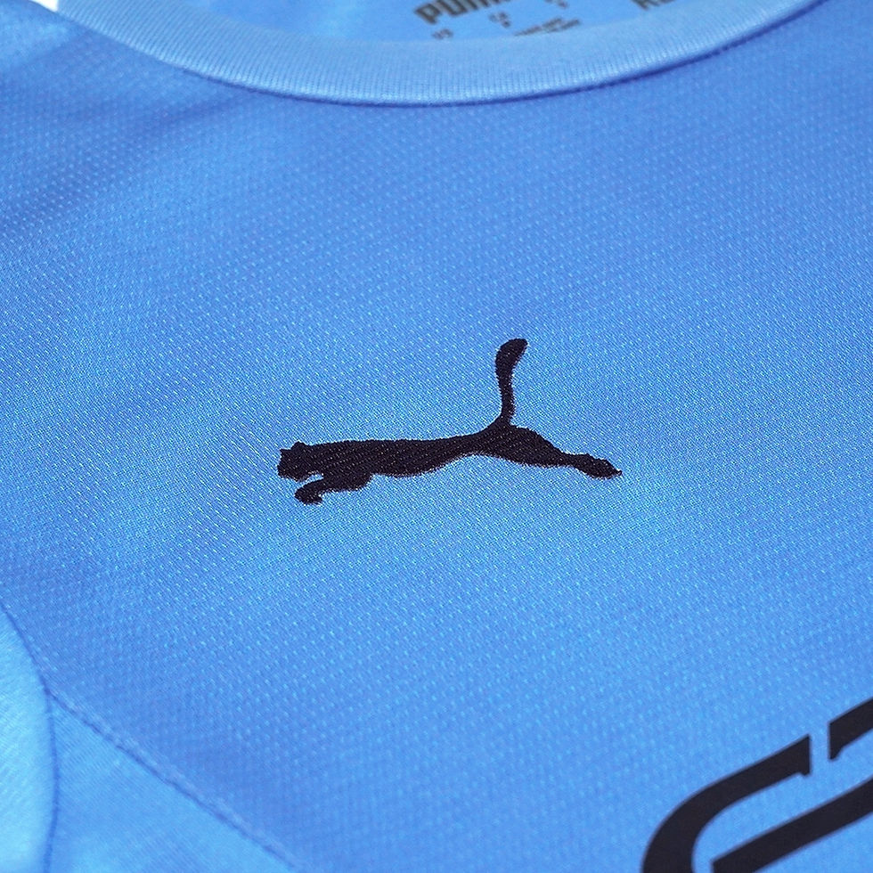 ภาพขนาดย่อ: Manchester City Home Fan Version Shirt 2025-26