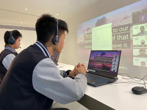 International Virtual Exchange Programme 