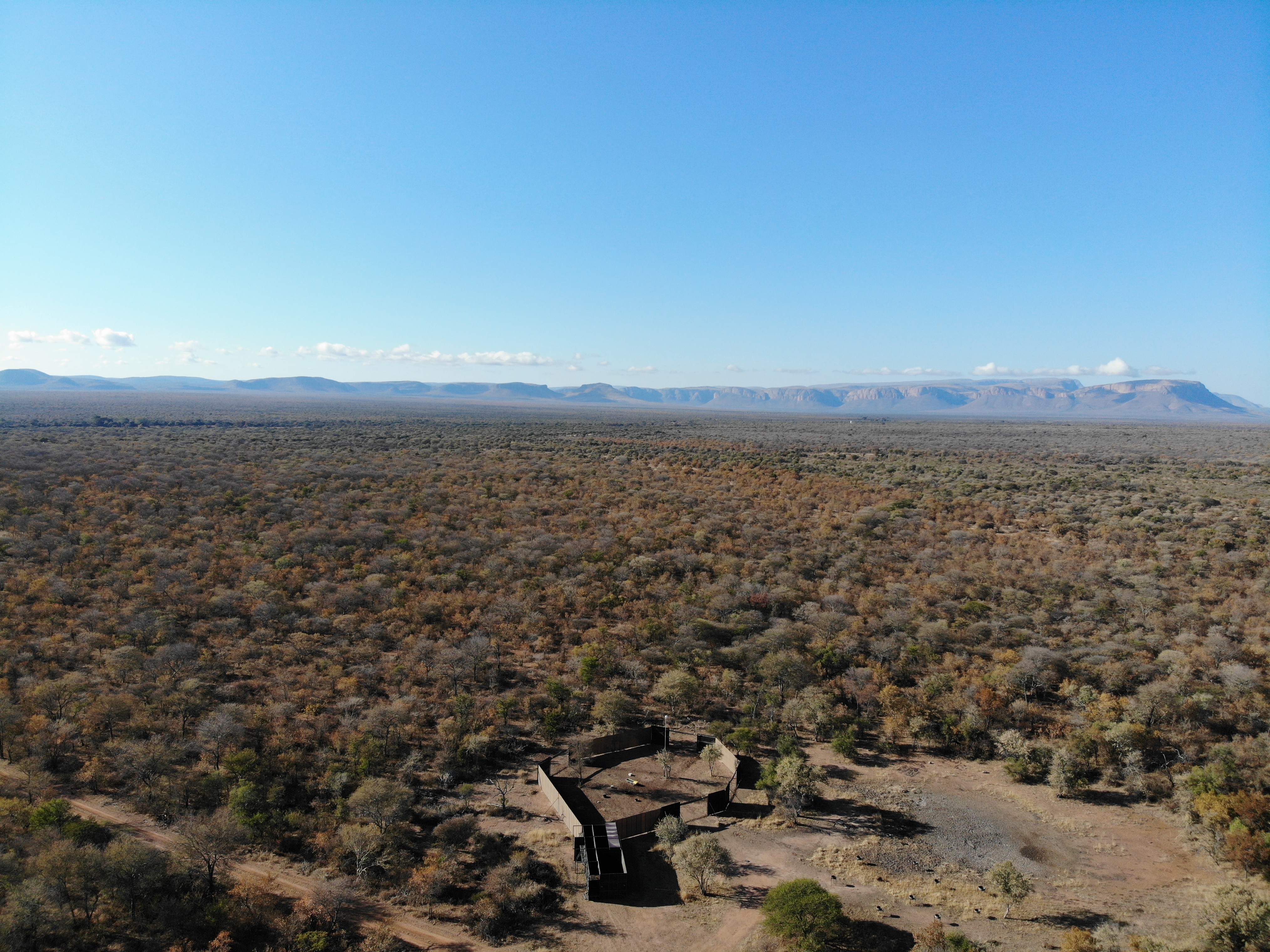 Bushveld landscape on the Spiral Game Breeders farm