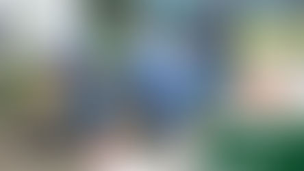 歩道部、乗入部、取付道路などのアスファルト舗装を行っています。