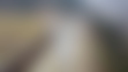 完成写真を空撮しました。