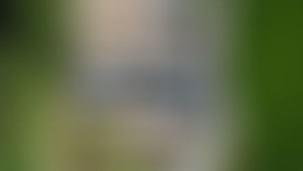 7月の月末写真を空撮しました。