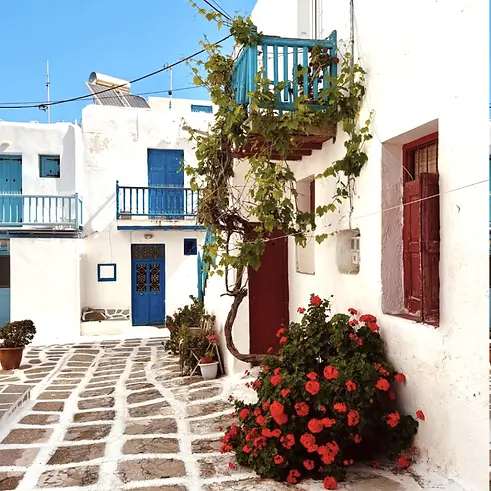 Rectangle 26 (1).webp