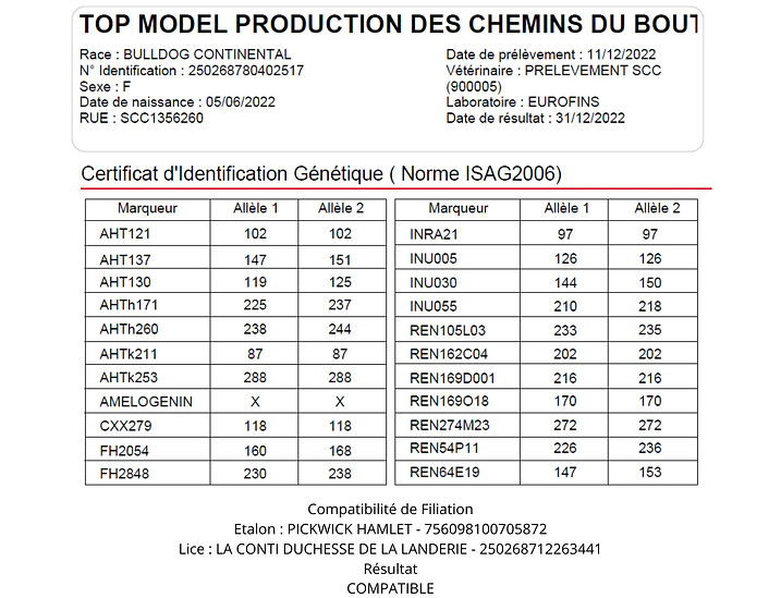 CENTRE CANIN DE BLAIN GREGOR LACABANE