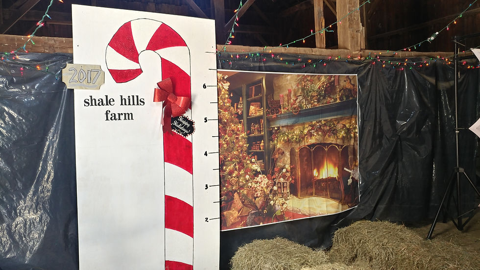 Candy Cane growth chart in the movie theater!