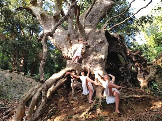 Curinga si Svela: Viaggio Storico-Naturalistico nella Terra dei Misteri!