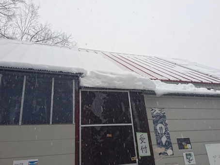 久しぶりの降雪