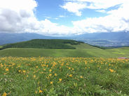 いよいよ花が咲き誇る季節です。