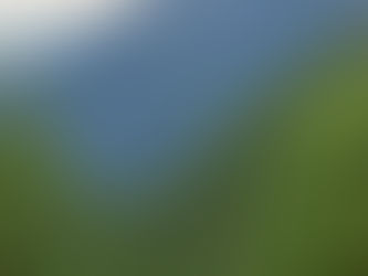 掃除用タオル御礼