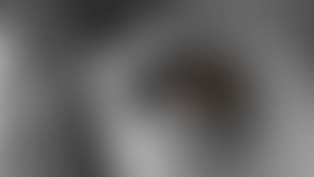 Visiones de la Dignidad Humana