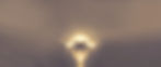 Gold lotus_header_optimized4.jpg