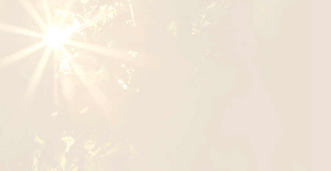 The Revelation Integrationâ„¢ Method guides healing and growth through psychedelic ceremony preparation, processing, tracking,