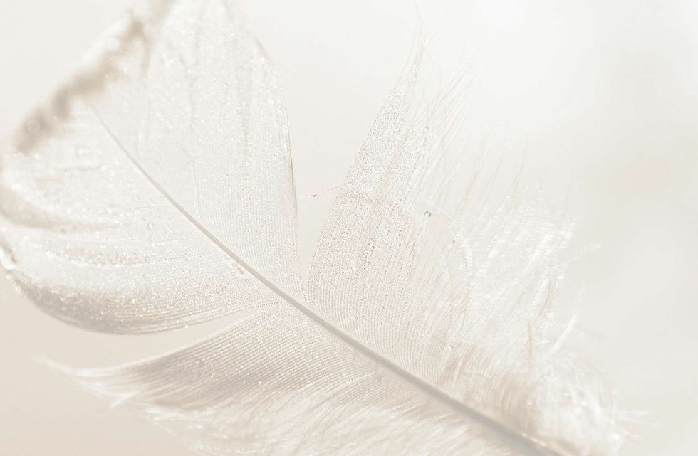 gold leaf_optimized_edited.jpg
