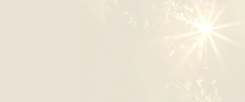 Sand color strip_with sunburst overlay_edited_edited_edited_edited.jpg