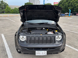 Renegade 20