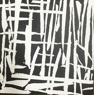 Torn B/W series