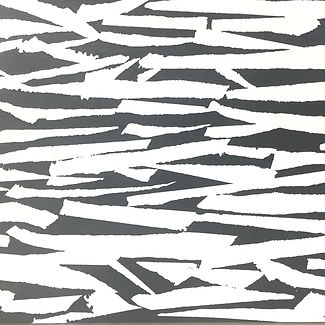 Torn Series