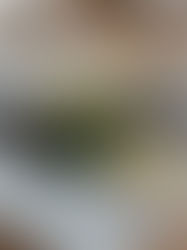 #1/ Le Paris-Brest by Christian Le Squer