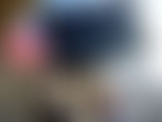 The US Election: A Summary of Events