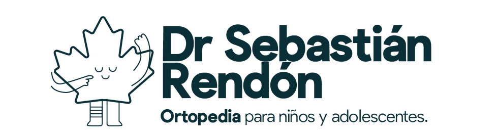 nuevos colores de sebas-16.png