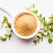 Bacopa monieri (3).jpg