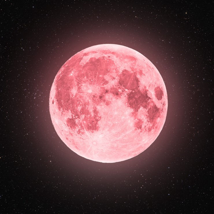 ree