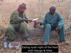 Cooking buffalo over fire-Sue Tidwell-African Adventure