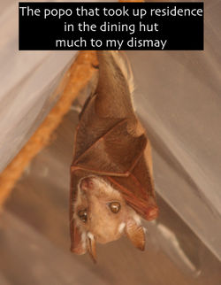 Popo in dining hut-Sue Tidwell-Africa adventure