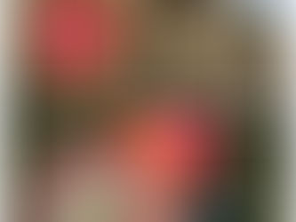 Feriadão no Mercadão