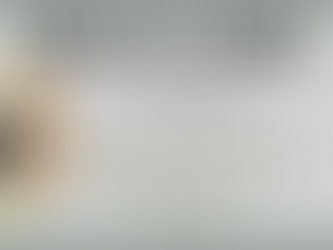 Architect designed Plywood Furniture!