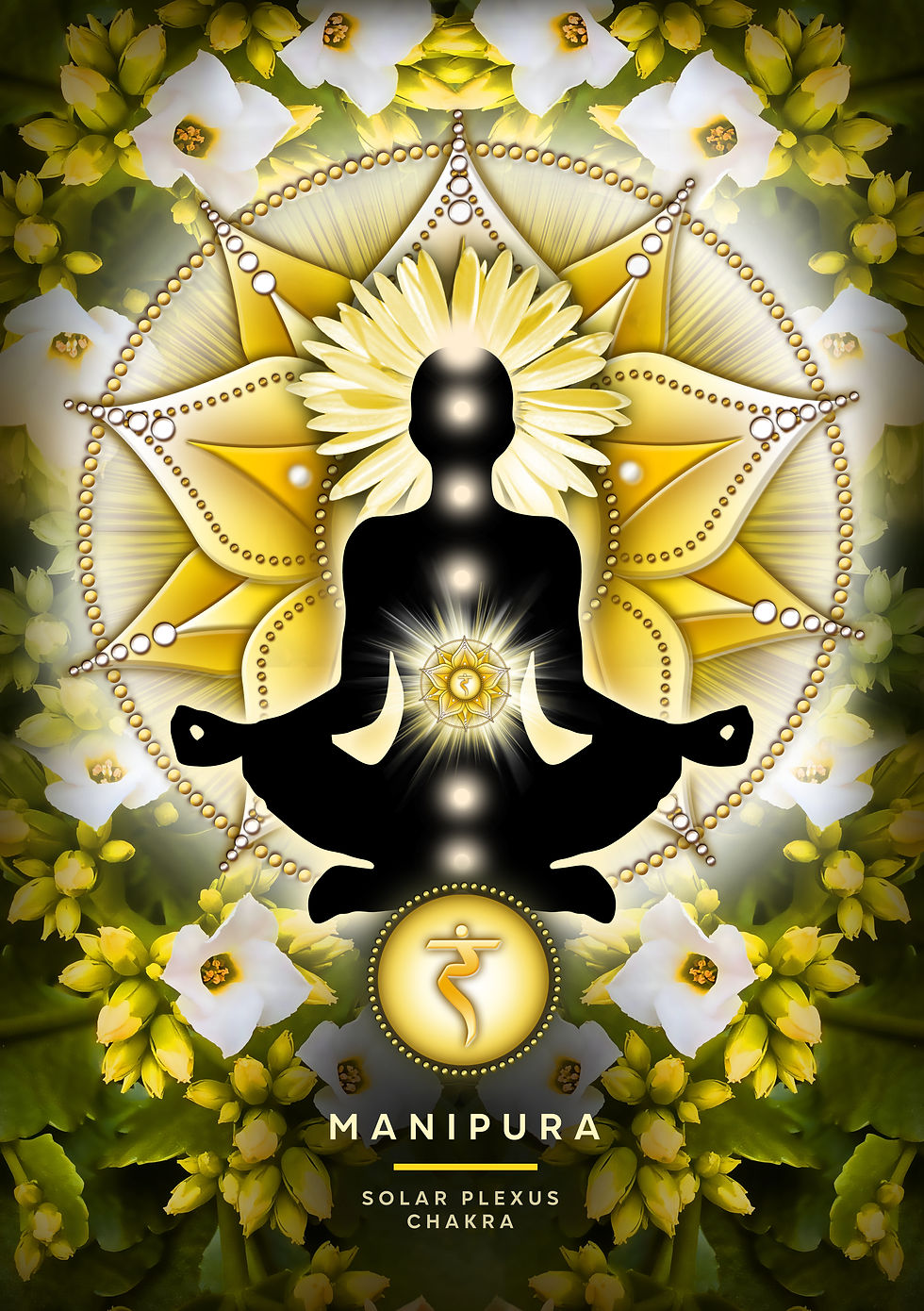Solar Plexus chakra image