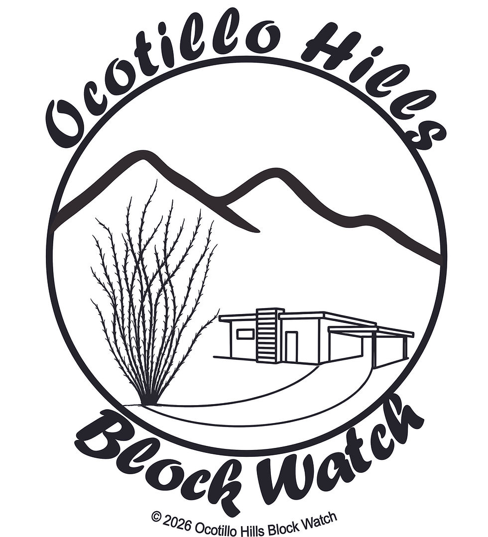 Ocotillo Hills Annual Street Party