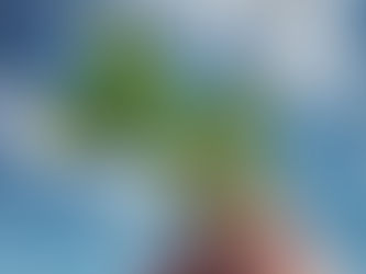 Breathe Easy, Feel Energised: The Many Benefits of Peppermint Essential Oil