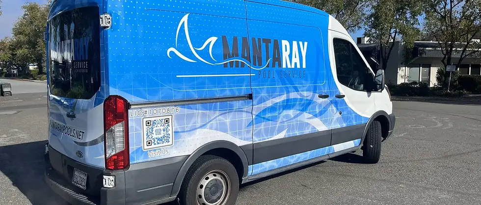 mantaray van