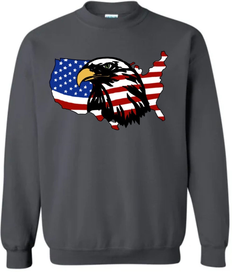 Thumbnail: American Eagle with flag crewneck(Gildan)