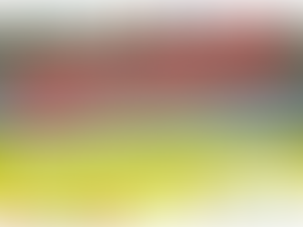 Regata Internacional de Canoagem - 27ª edição