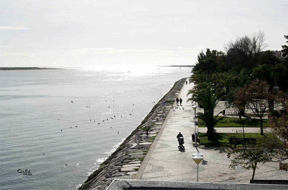 Bar Panorâmico