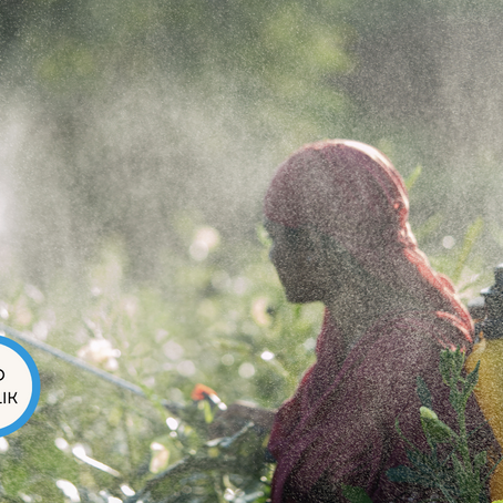 Görünmez Tsunami: Vücudumuzdaki 3,600'den Fazla Kimyasal Sağlığımızı Nasıl Tehdit Ediyor?