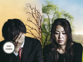 İklim Krizinde Cinsiyet Farkı: Kim Daha Fazla Sorumlu?