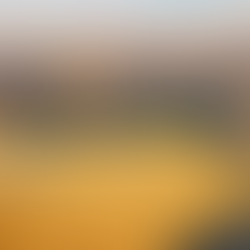 Manhattan’ın Kalbinde 4,5 Milyar Dolarlık Bir Başkaldırı: Agnes Denes ve Buğday Tarlası