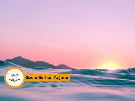 GÜNEŞİN DOĞUŞUNU DENİZDE KARŞILAMAK DİYE BİR ŞEY VARDIR