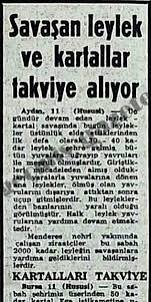 Tarihin En Tuhaf Hava Savaşı: Kartallar ve Leylekler Neden Çatıştı?