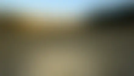 Türkiye'nin Kuraklık Dosyası: Yağmurlar Gerçek Tabloyu Gizliyor mu?