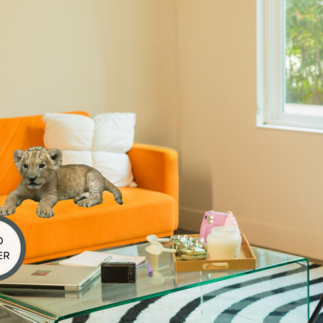 Sosyal Medyanın Beslediği Zulüm: Tayland'da Egzotik Hayvan Ticaretinin İç Yüzü