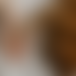 Kedilerin Zihinsel ve Fiziksel Sağlığınıza 7 Bilimsel Faydası