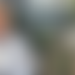 Kapitalizmin Ninnisiyle Uyuyanlara Felsefi Bir Tokat: Ekolojik Krizin Kökenleri