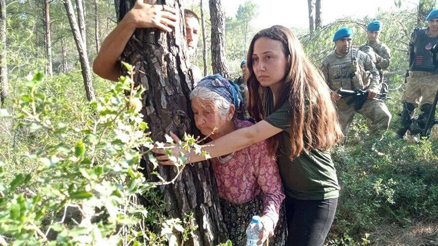 Zeytinliklerin Kaderi ve Anlatıların Savaşı: Türkiye Hangi Hikayeyi Seçmeli?