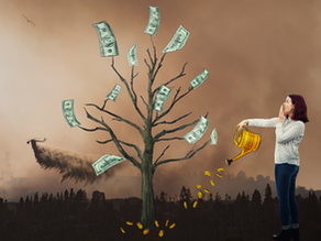 İklim Krizinin Asıl Sorumlusu: Kâr Hırsı ve Kapitalist Sistem