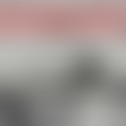 Minamata:Bir Köyün Acı Dolu Hikayesi