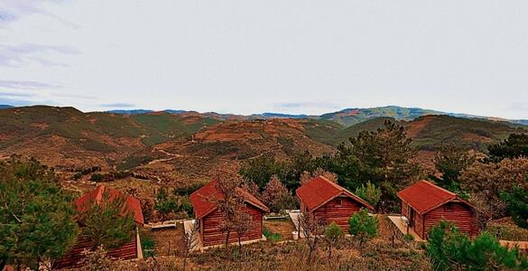 Seferihisar: Türkiye'nin İlk Sakin Şehir Temsilcisi